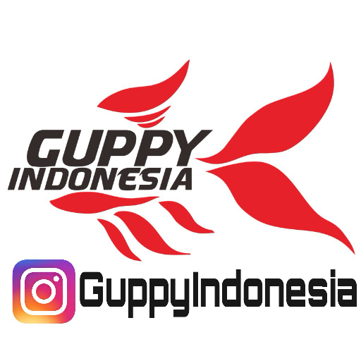 Guppy Indonesia