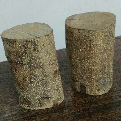 Kayu Ular