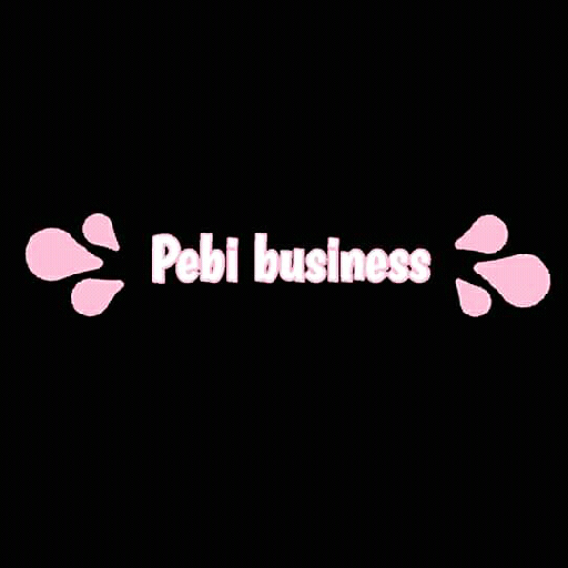 Pebi Business