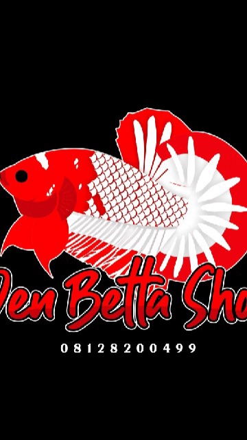 Dent Betta Shop - Menjual Segala Jenis Betta Fish