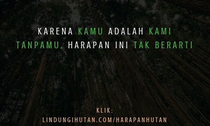 Lindungi Hutan 4