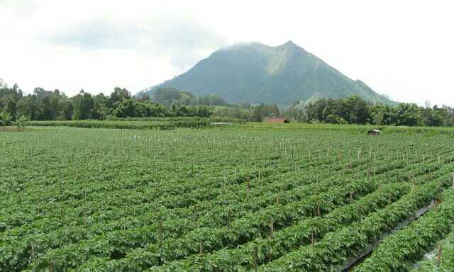 Gunung Slamet Store 1