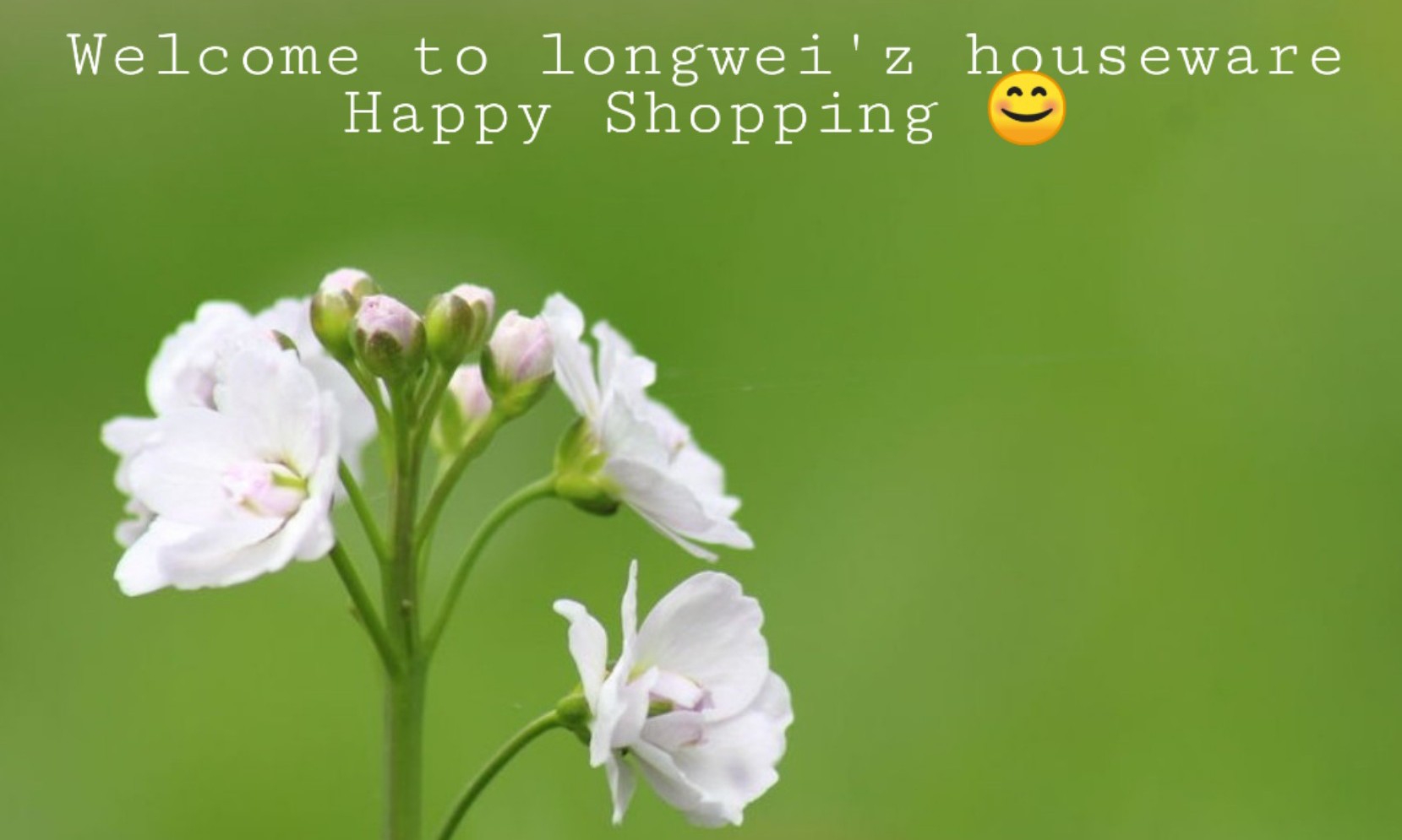 longweiz houseware 1