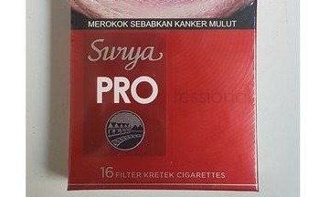 GUDANG GARAM PARTNERSHIP 3