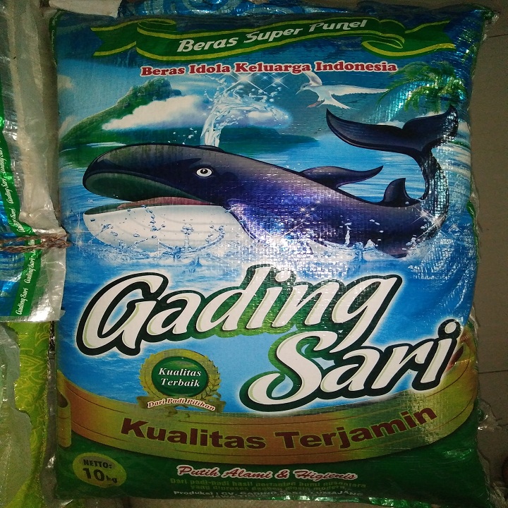 Beras Gading Sari 10kg 2