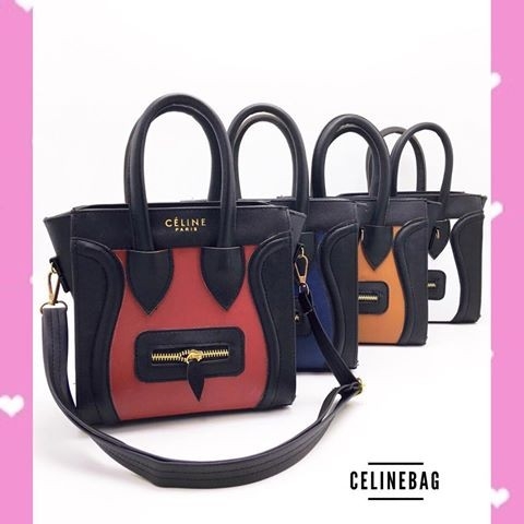 Celine Bag 5