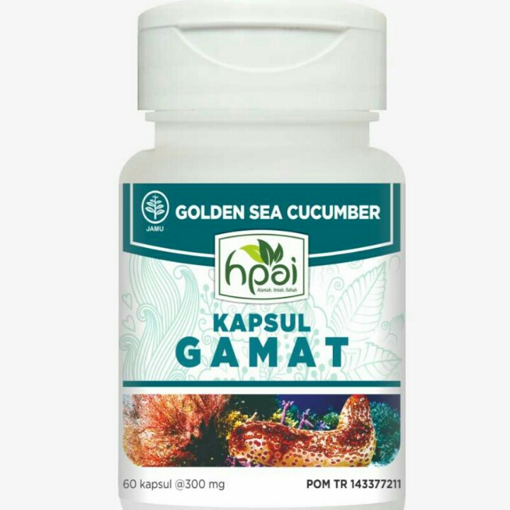 Gamat Kapsul 2