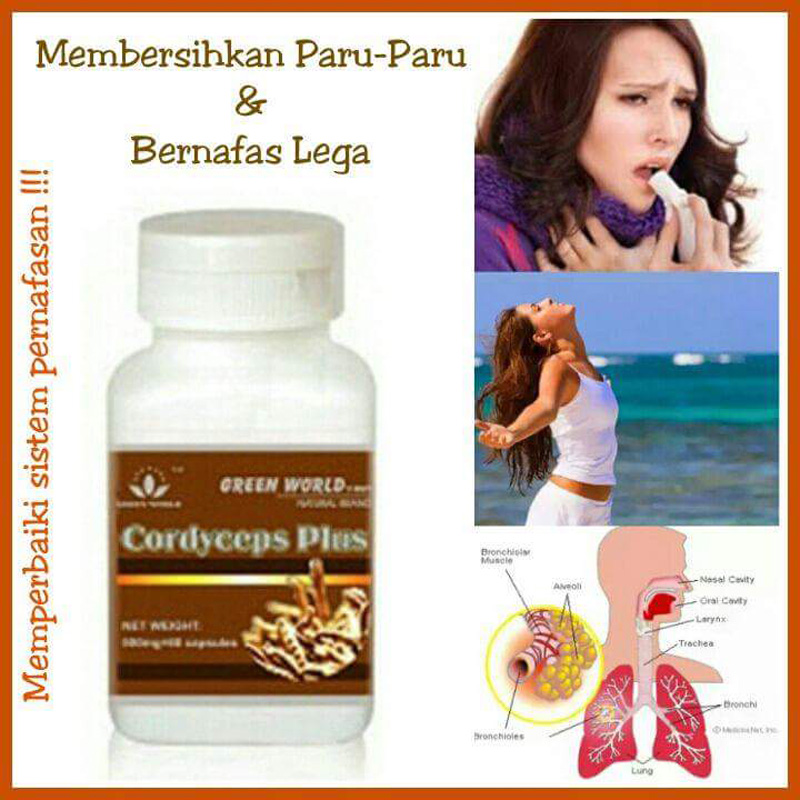 Green World Cordyceps Plus Capsule Untuk Meningkatkan Fungsi Imunitas  3