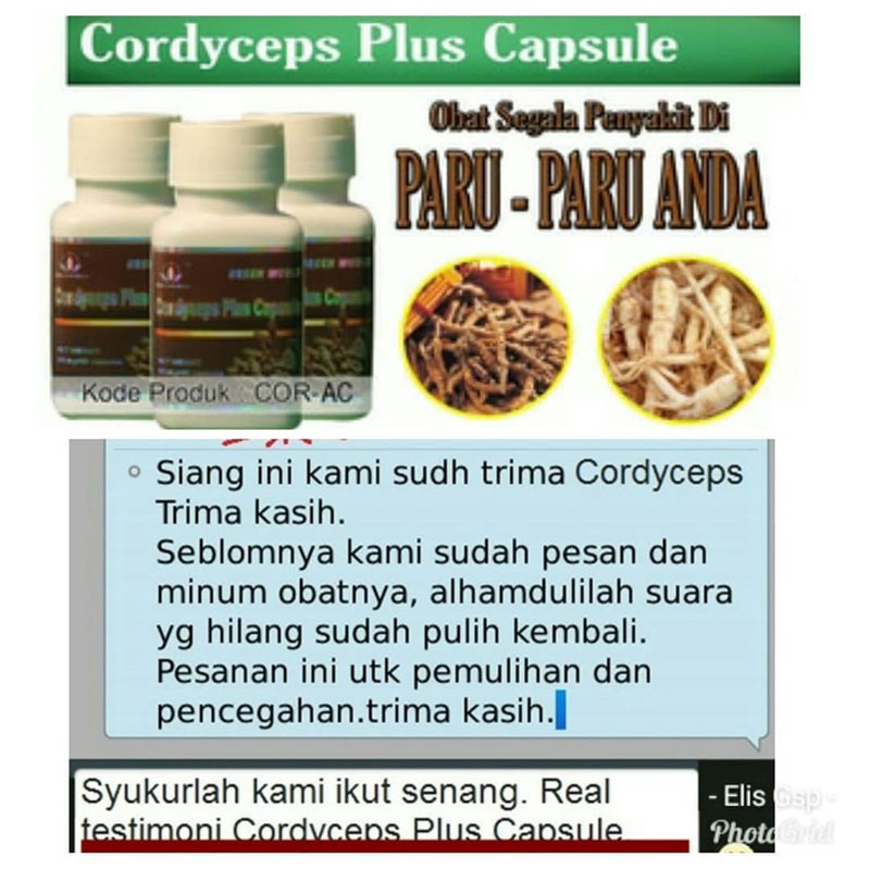 Green World Cordyceps Plus Capsule Untuk Meningkatkan Fungsi Imunitas  4