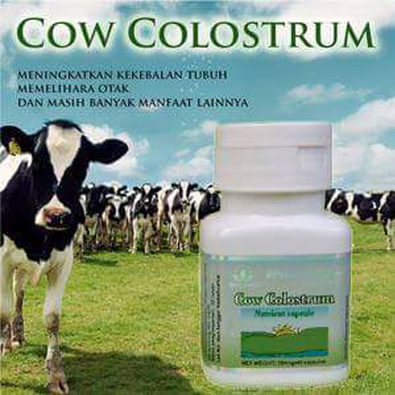 Green World Cow Colostrum Capsule Untuk Meningkatkan Imunitas Anak Mau 2