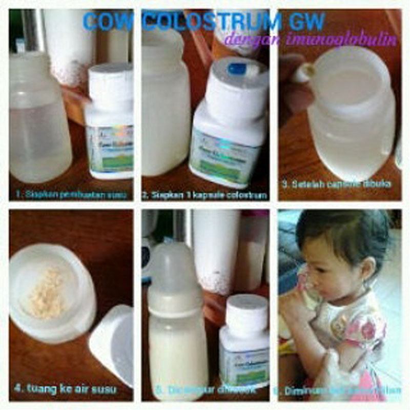 Green World Cow Colostrum Capsule Untuk Meningkatkan Imunitas Anak Mau 3