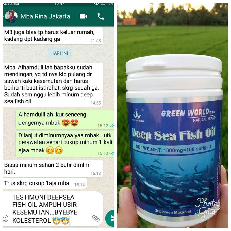 Green World Deep Sea Fish Oil Softgel Untuk Membersihkan Kolesterol Da 4