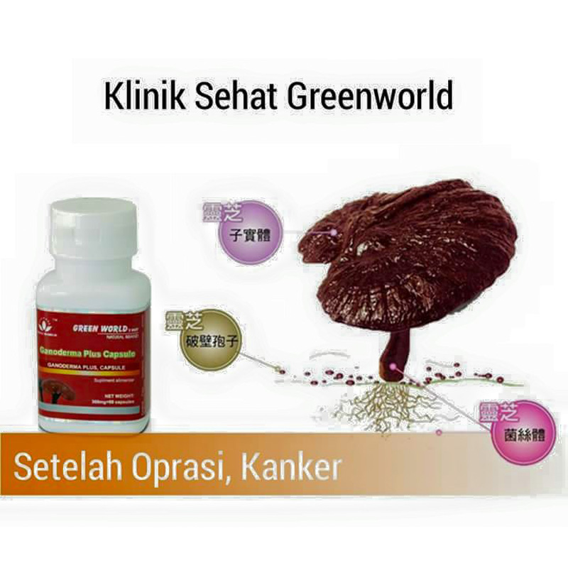 Green World Ganoderma Plus Capsule Membantu Mencegah Kanker, Membantu  2