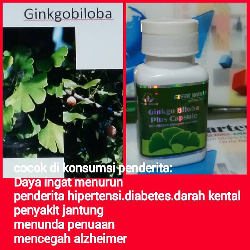 Green World Ginkgo Biloba Plus Capsule Melancarkan Peredaran Darah, Me 2