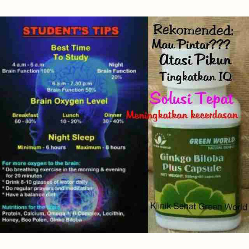 Green World Ginkgo Biloba Plus Capsule Melancarkan Peredaran Darah, Me 3