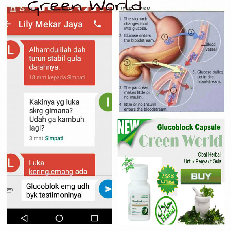 Green World Glucoblock Capsule Membantu Menstabilkan Gula Darah 5