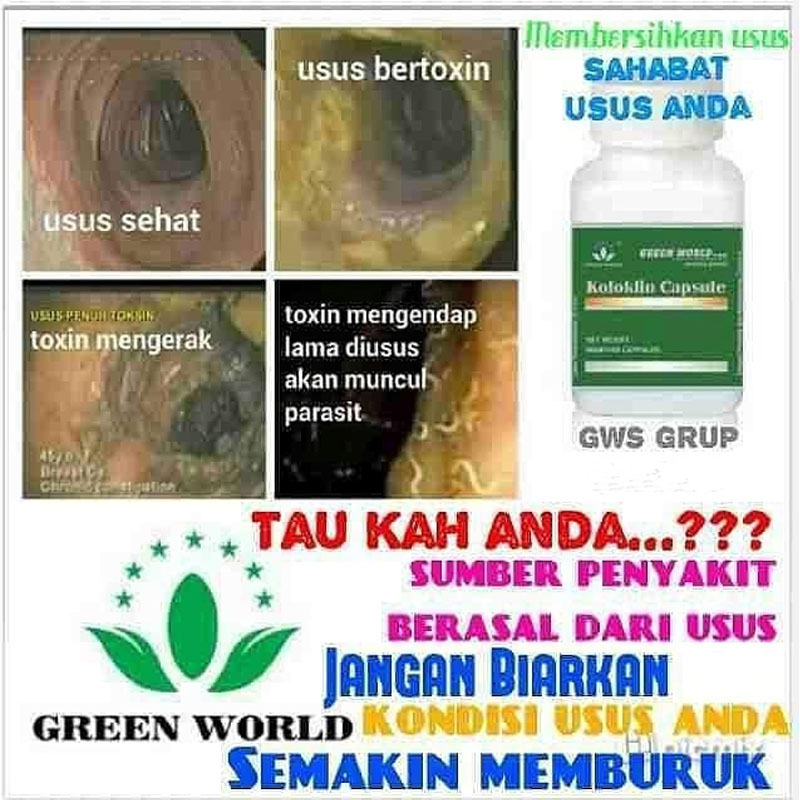 Green World Koloklin Capsule Membantu Fungsi Usus, Menutrisi Usus 4