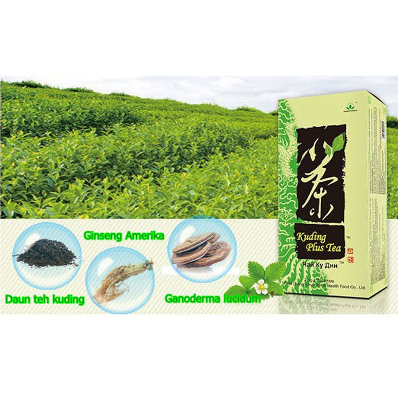 Green World Kuding Plus Tea Menurunkan Panas Dalam 4