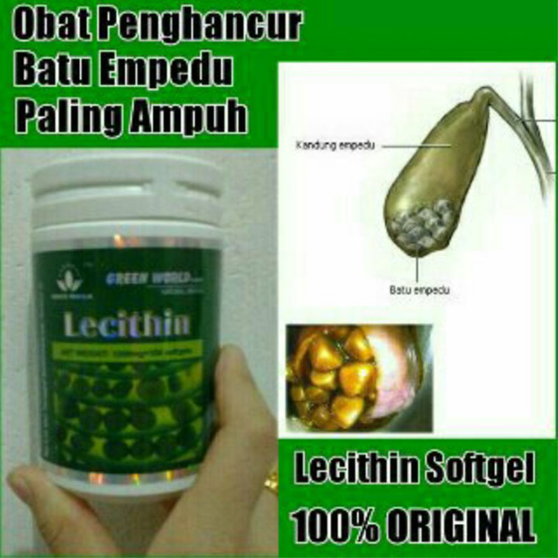 Green World Lecithin Softgel Untuk Menjaga Pembuluh Darah Dan Menutris 3