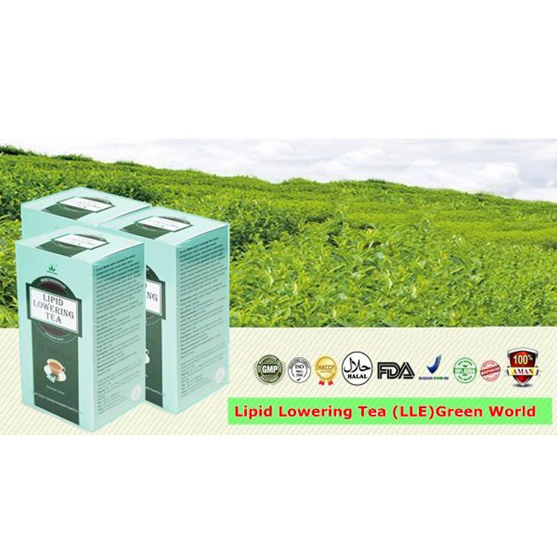 Green World Lipid Lowering Tea Membantu Menurunkan Kadar Kolesterol Da 2