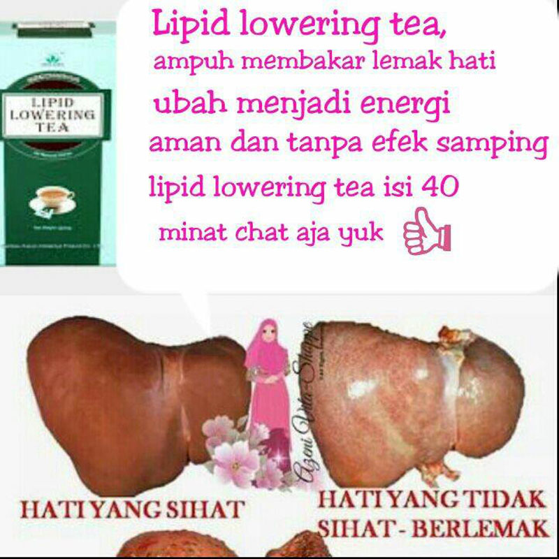 Green World Lipid Lowering Tea Membantu Menurunkan Kadar Kolesterol Da 5