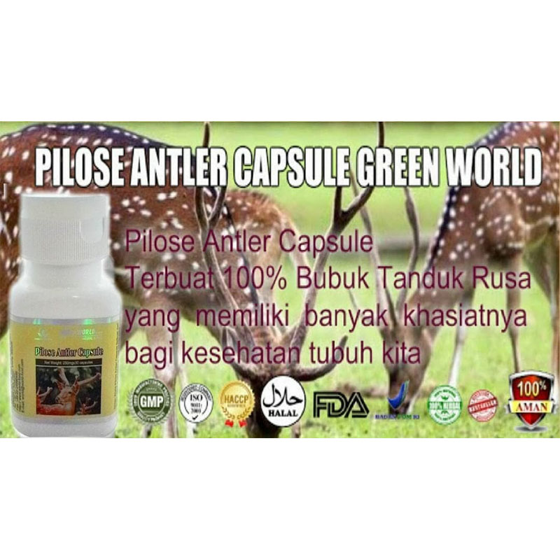 Green World Pilose Antler Capsule Meningkatkan Imunitas, Vitalitas Dan 4