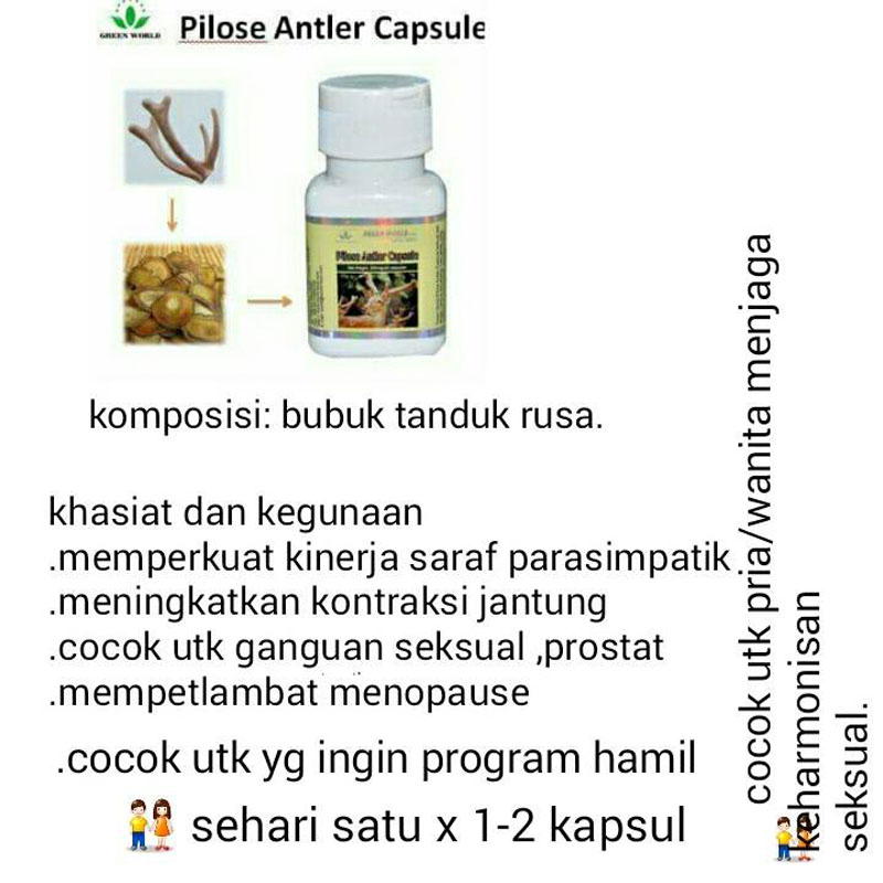 Green World Pilose Antler Capsule Meningkatkan Imunitas, Vitalitas Dan 5