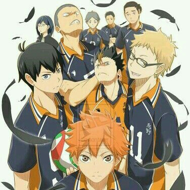 Haikyuu Karasuno Vol 1 2