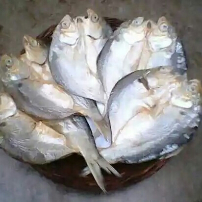 Ikan Asin Mujaer 2