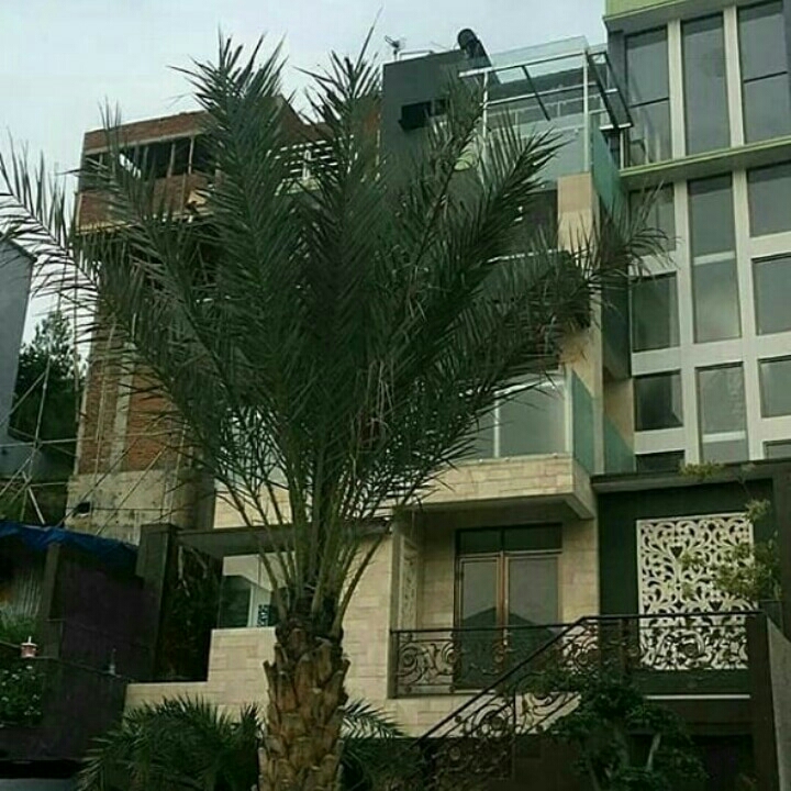 Jual Rumah 6 Lantai Komplek The Setiabudi Terrace Bandung  2