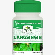 Langsingin 2