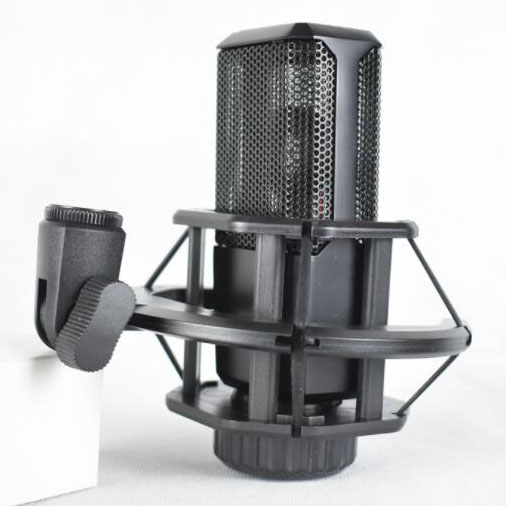 Microphone Condenser Professional Recording LGT240