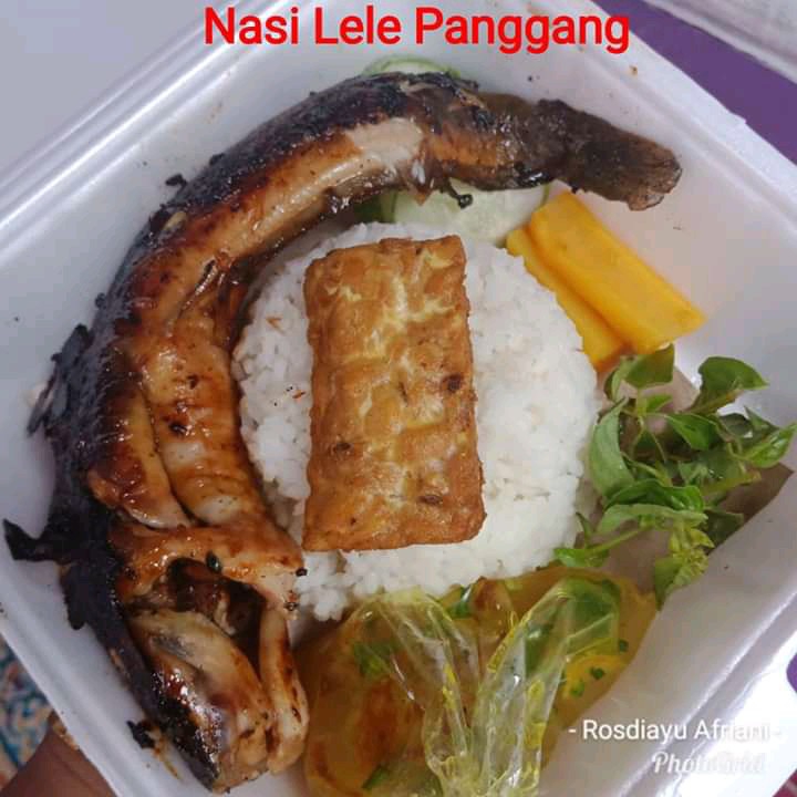 Nasi lele goreng atau bakar 2