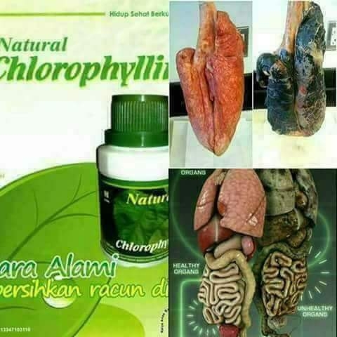 Natural Chlorophyllin 5