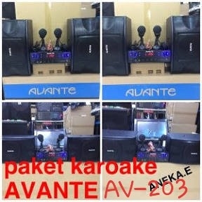 Paket Karaoke Advante AV-203 2