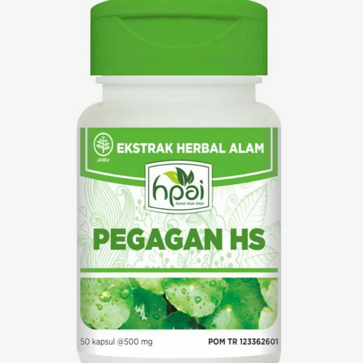 Pegagan HS 2