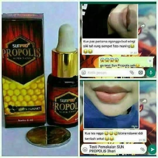 Propolis 3