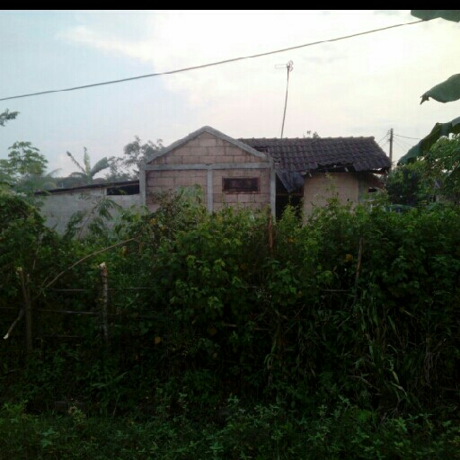 Rumah  3