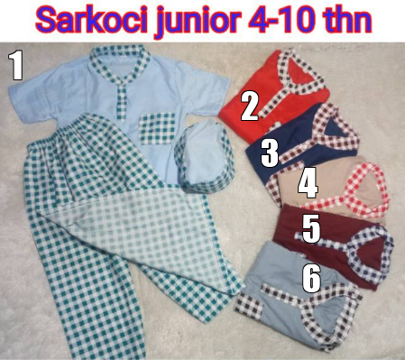 Sarkoci junior