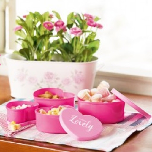 Snack Storage Heart Set Of 4 2