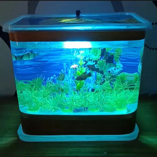 - AQUARIUM MINI MERK - PER UNIT 2