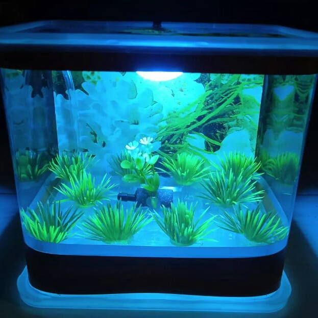 - AQUARIUM MINI MERK - PER UNIT 3