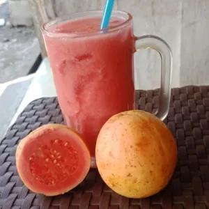  jus Jambu