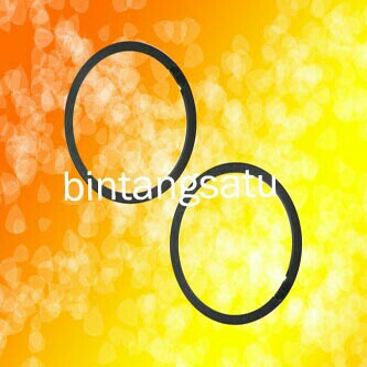 ALB20 Karet Gasket Bsr Biasa Philips