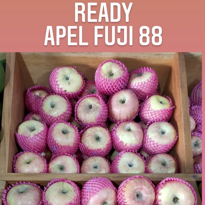 APEL FUJI 88