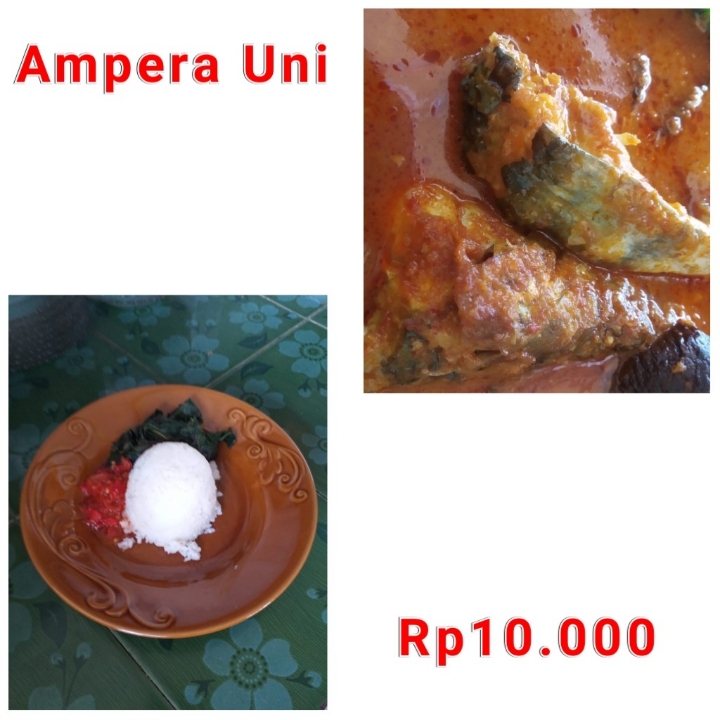 ASAM PEDAS IKAN PATIN