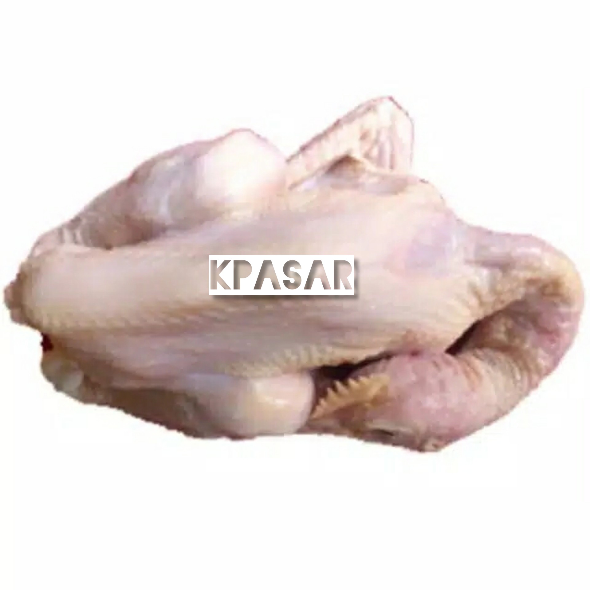 AYAM PEJANTAN 1 EKOR