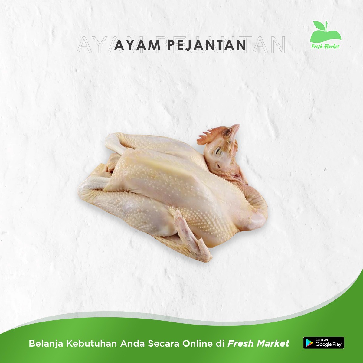 AYAM PEJANTAN 1 EKOR