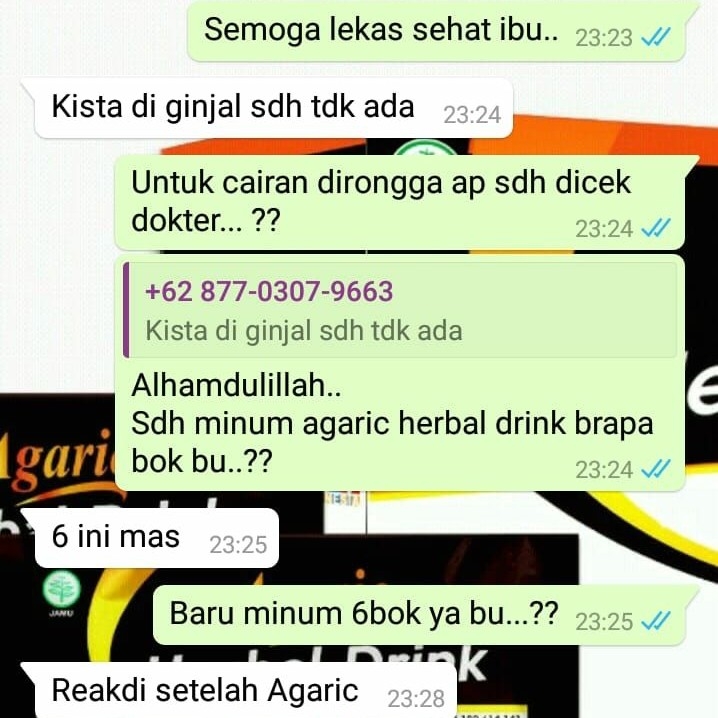 Agaric Herbal Drink 2