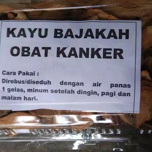 Akar Bajakah